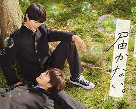 阿尔米汗的全部海报剧照